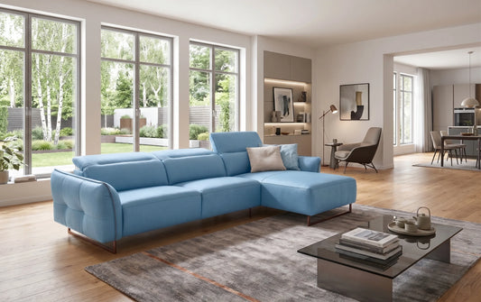 funktionalen Ledersofas